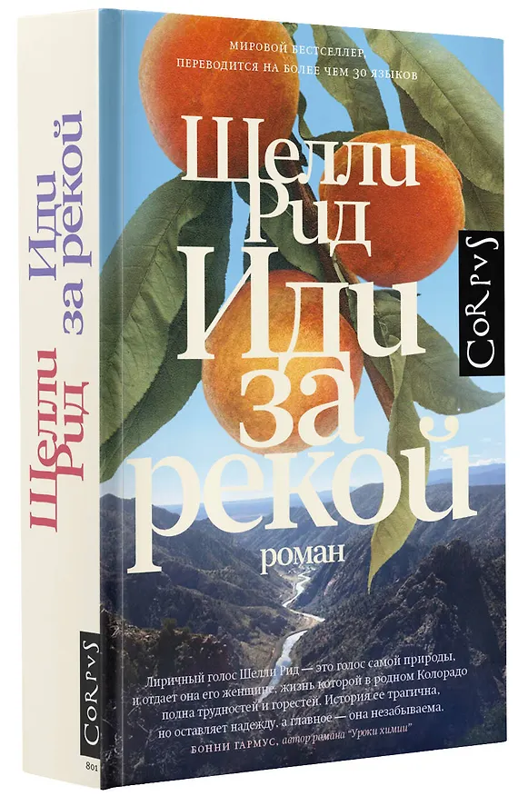 Книга Иди за рекой (Шелли Рид) — 4