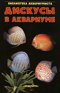 Дискусы в аквариуме