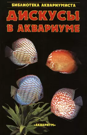 Дискусы в аквариуме — 1401981 — 1