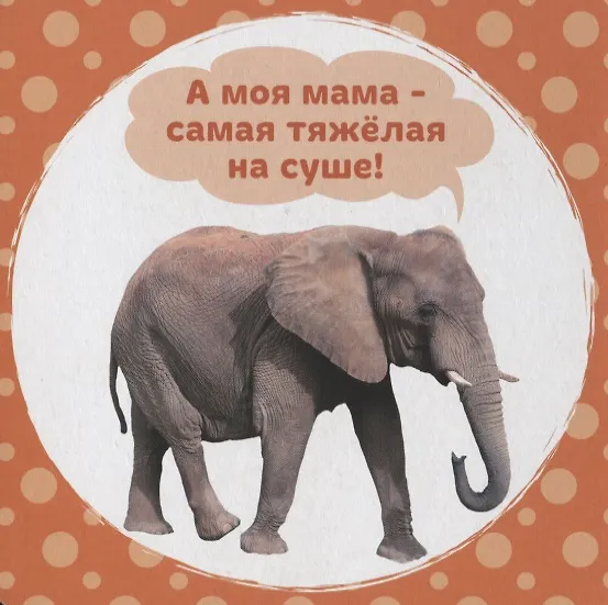 Книга А моя мама… (Е. Ковалева) — 4