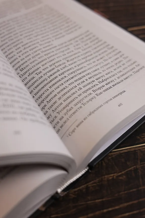 Книга Мир за проходной (Анатолий Дроздов) — 12