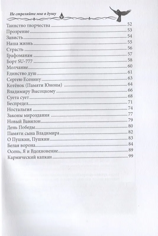 Книга Не стреляйте мне в душу (Владимир Визгалов) — 3