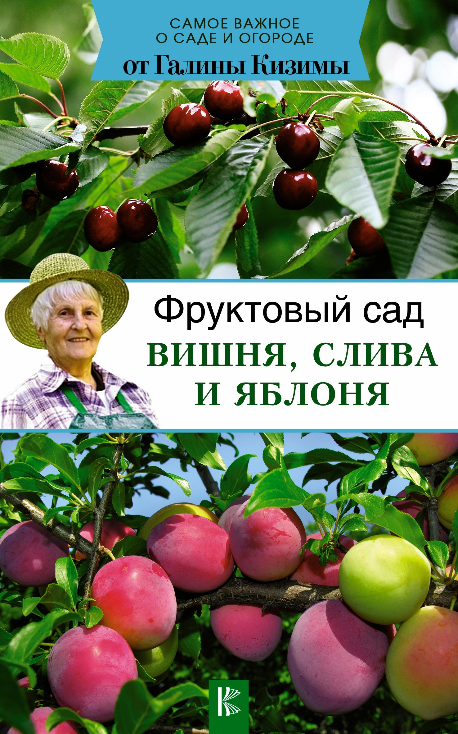 

Фруктовый сад. Вишня, слива и яблоня