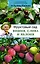 Фруктовый сад. Вишня, слива и яблоня — 2628393 — 1
