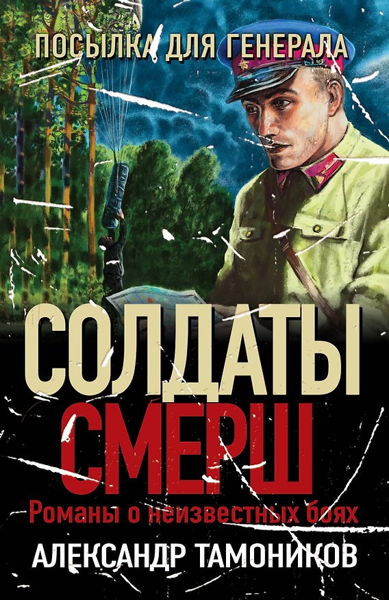 Книга Посылка для генерала (Александр Тамоников) — 1