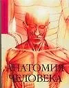 Книга Анатомия человека: карманный справочник (Елена Макарова)