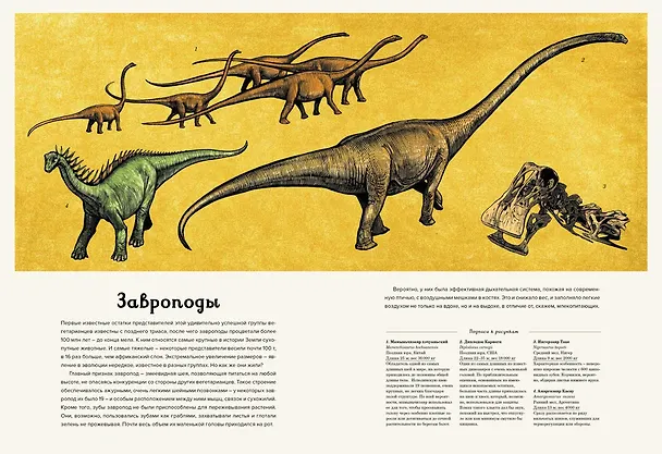 Книга Динозавриум (Кейти Скотт, Лили Маррей, Джейми Брун) — 5
