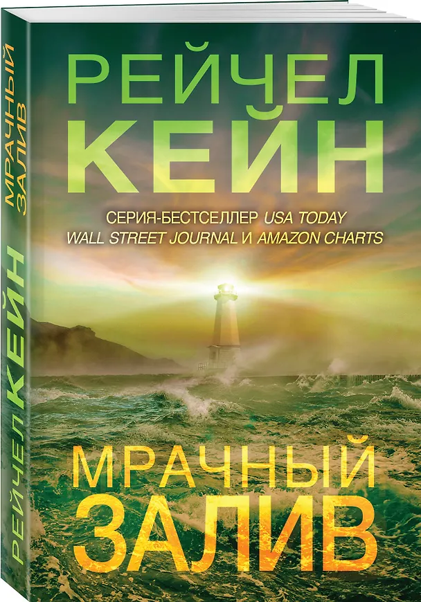 Книга Мрачный залив (Рейчел Кейн) — 4