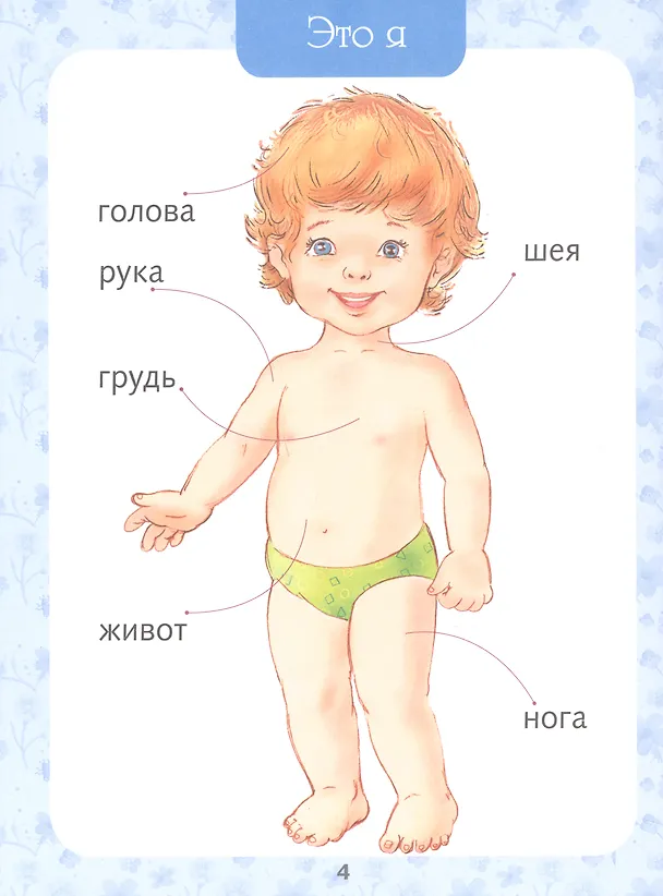 Книга Первая книга малыша. Энциклопедия от 6 месяцев и старше () — 6