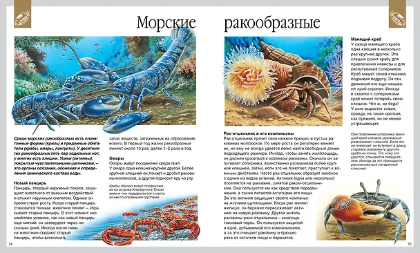 Книга Мир моря (Эмили Бомон, Валери Ле Дю) — 5