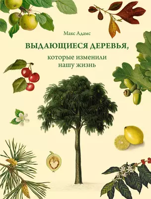 Выдающиеся деревья, которые изменили нашу жизнь — 2945740 — 1