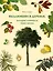 Выдающиеся деревья, которые изменили нашу жизнь — 2945740 — 1