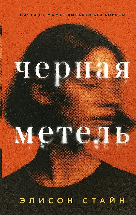 Книга Черная метель (Элисон Стайн) — 1
