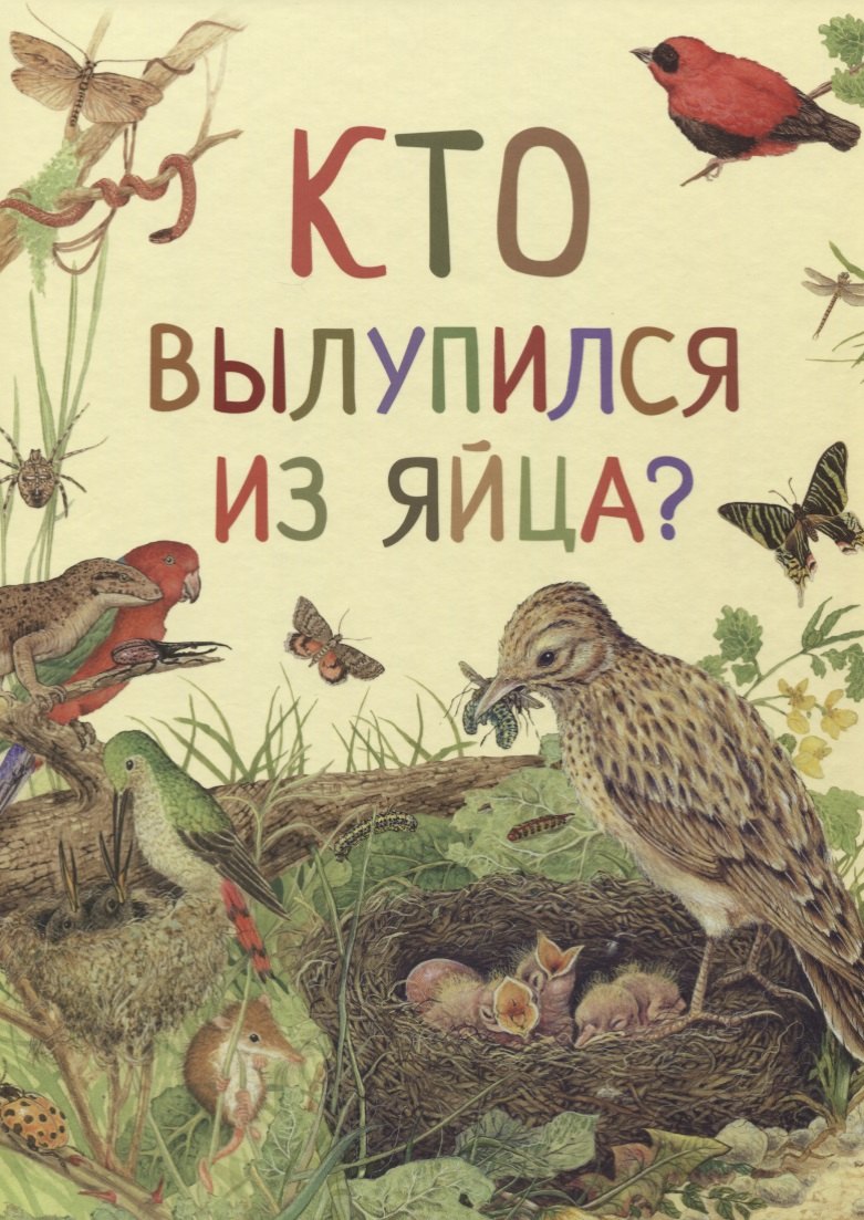 

Кто вылупился из яйца