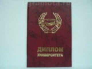 «Диплом университета», Мастер 2304931 — 1