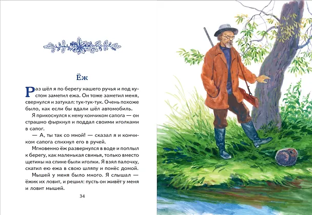 Книга Моя Родина. Рассказы (ил. С. Ярового) (Михаил Пришвин) — 13