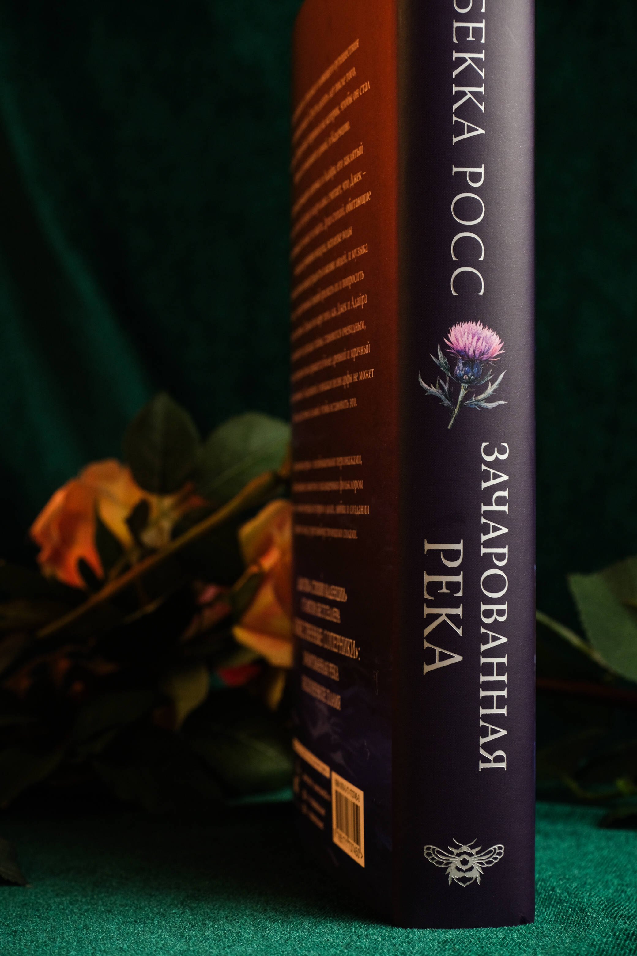 Изображение бумажной книги