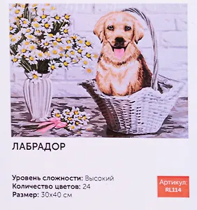 Картина по номерам Лабрадор 30*40 RL114