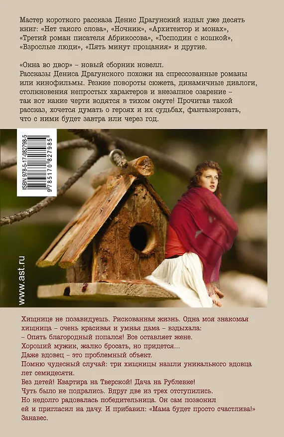 Книга Окна во двор: рассказы (Денис Драгунский) — 2