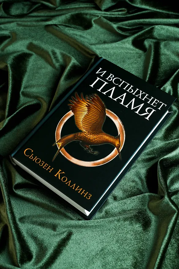 Книга И вспыхнет пламя (Сьюзен Коллинз) — 7