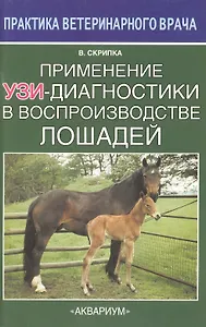 Применение УЗИ-диагностики в воспроизводстве лошадей
