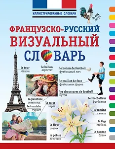 ИллюстрСловарь(мел) Визуальный французско-русский