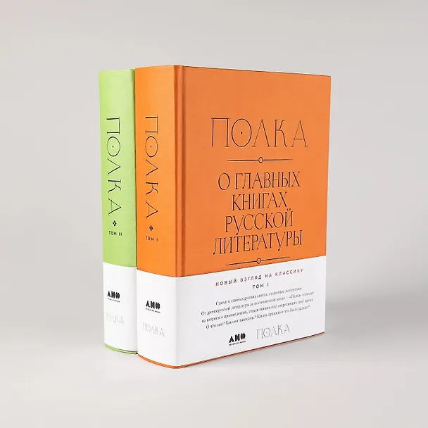 Книга [2 тома] Полка: О главных книгах русской литературы (Варвара Бабицкая, Михаил Велижев, Виктория Гендлина) — 12