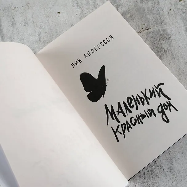 Книга Маленький красный дом (Лив Андерссон) — 7