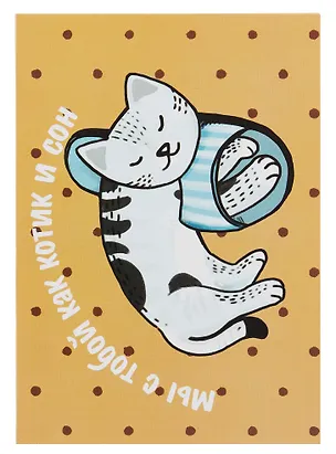 Открытка двойная "Коты. Котик и сон" 3085552