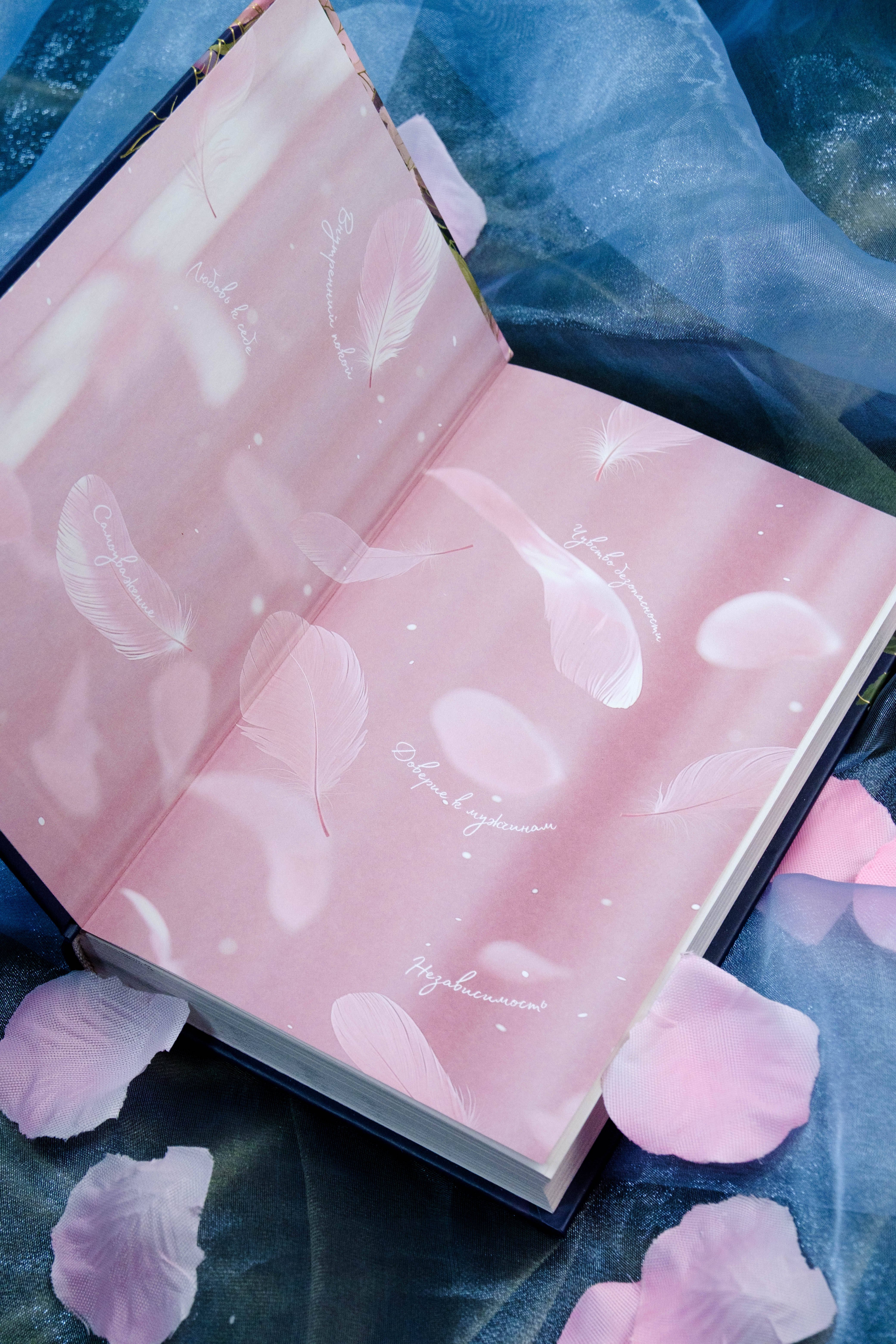 Изображение бумажной книги