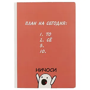 Блокнот «Ничоси», 192 страницы, А5 2482425