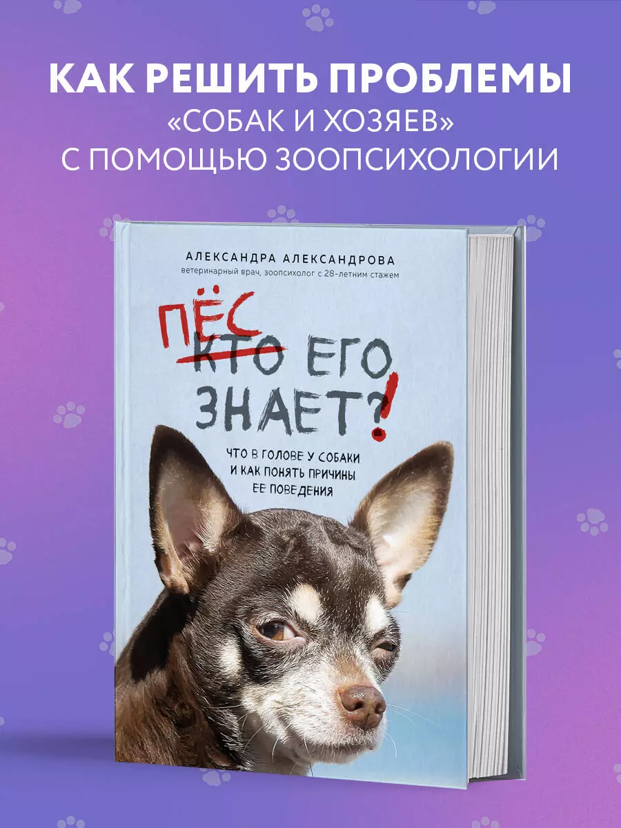 Пес его знает! Что в голове у собаки, и как понять причины ее поведения (Александра  Александрова) - купить книгу с доставкой в интернет-магазине «Читай-город».  ISBN: 978-5-04-173182-3