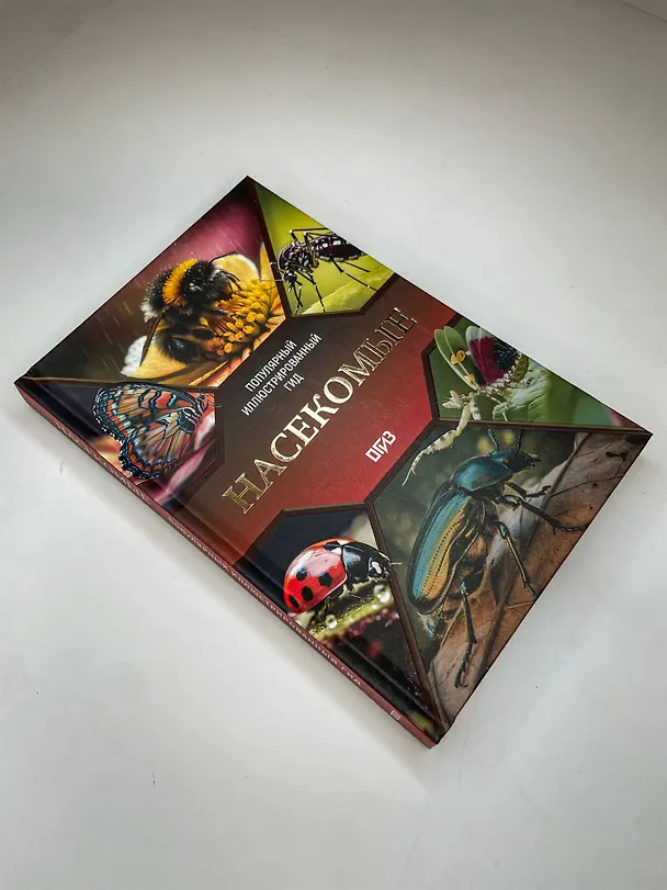 Книга Насекомые. Иллюстрированный гид (Анна Спектор) — 13