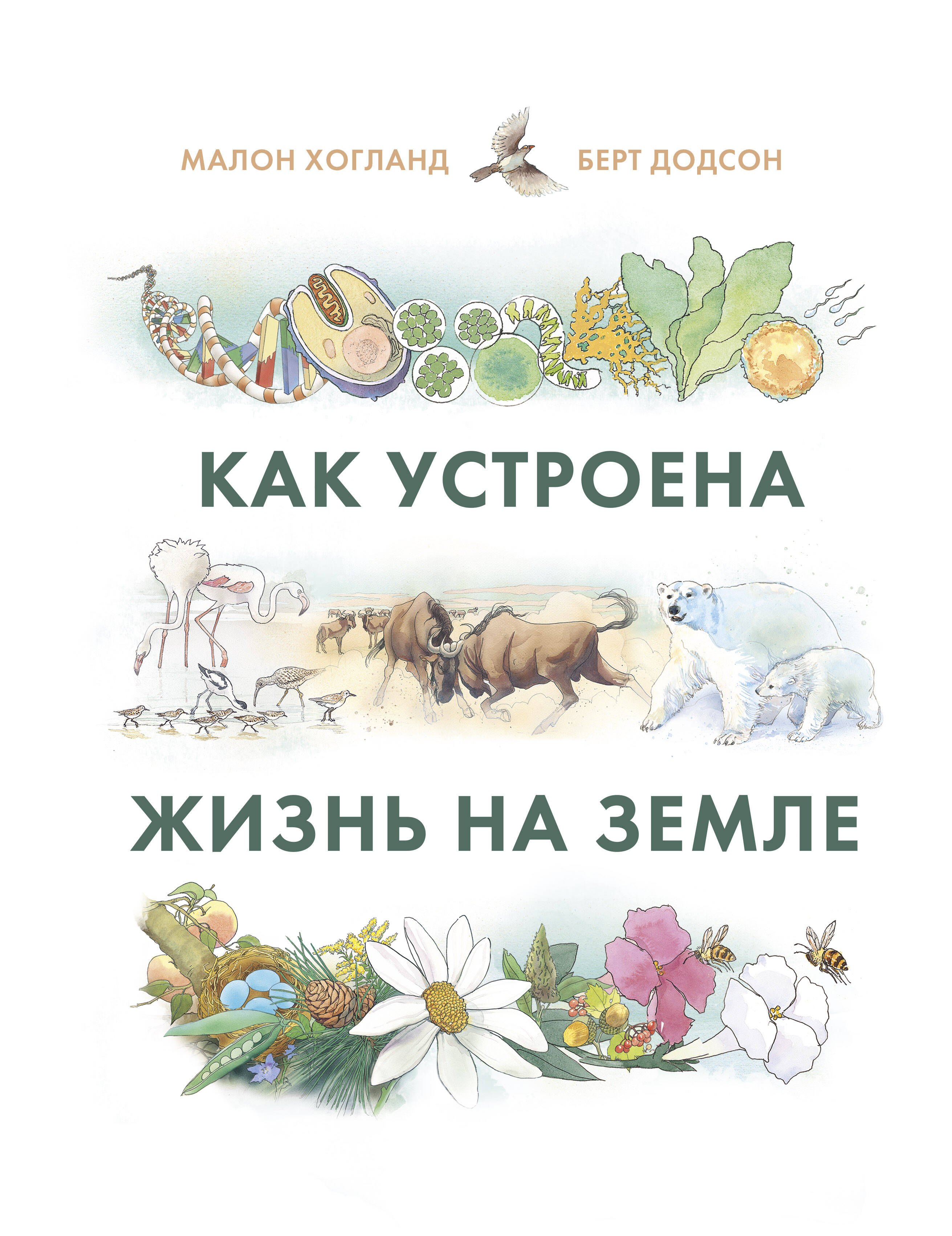 

Как устроена жизнь на Земле