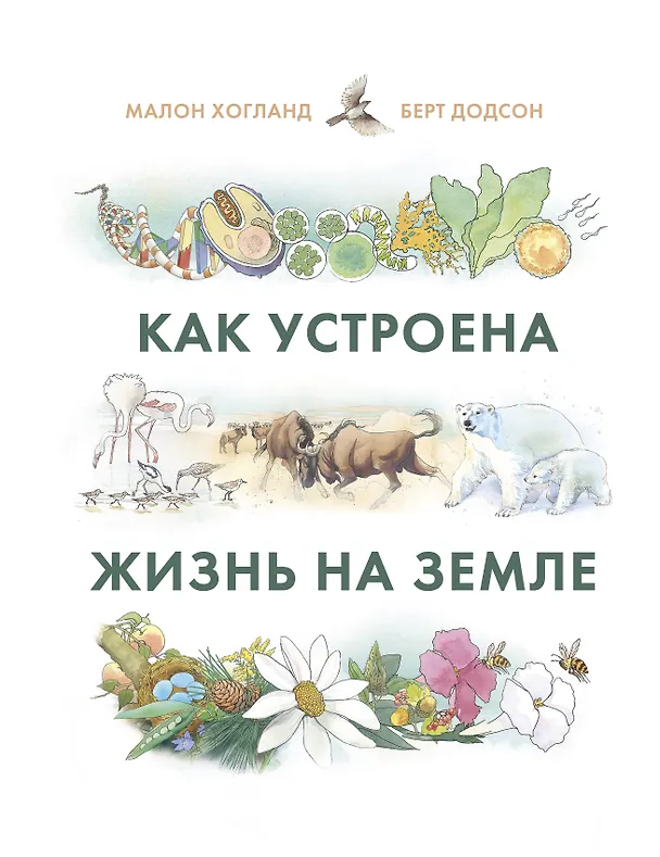 Книга Как устроена жизнь на Земле (Малон Хогланд) — 1