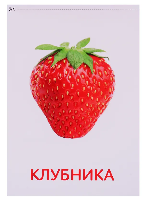 Книга Набор обучающих книг по методике Г. Домана "Окружающий мир" (комплект из 8 книг) () — 5