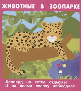 Животные в зоопарке. Набор развивающих карточек