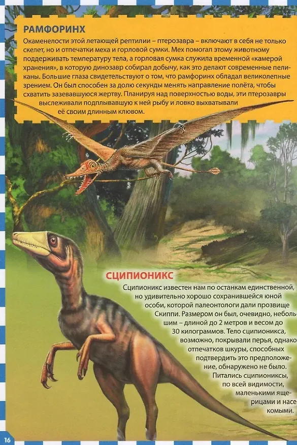 Книга Осторожно, динозавры! Детская энциклопедия () — 4