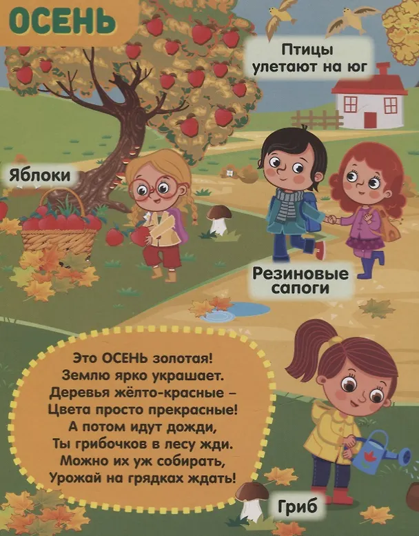Книга Книжка картонная с 3 окошками «Времена года» () — 3