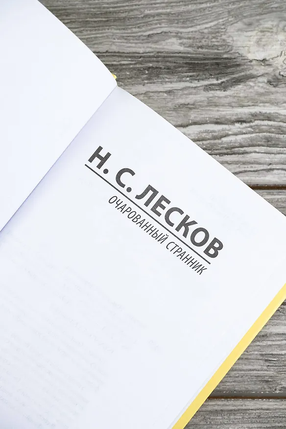 Книга Очарованный странник (Николай Лесков) — 9