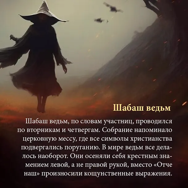 Книга Бурный XVI век: Габсбурги, ведьмы, еретики, кровавые мятежи (Фрэнсис Вейнс) — 7