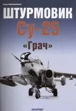 Штурмовик Су-25 "Грач" — 2059455 — 1