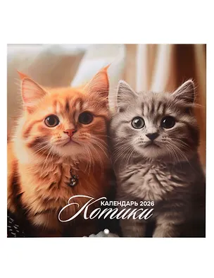 Календарь 2026г 290*290 "Котики" настенный, на скрепке 3095494