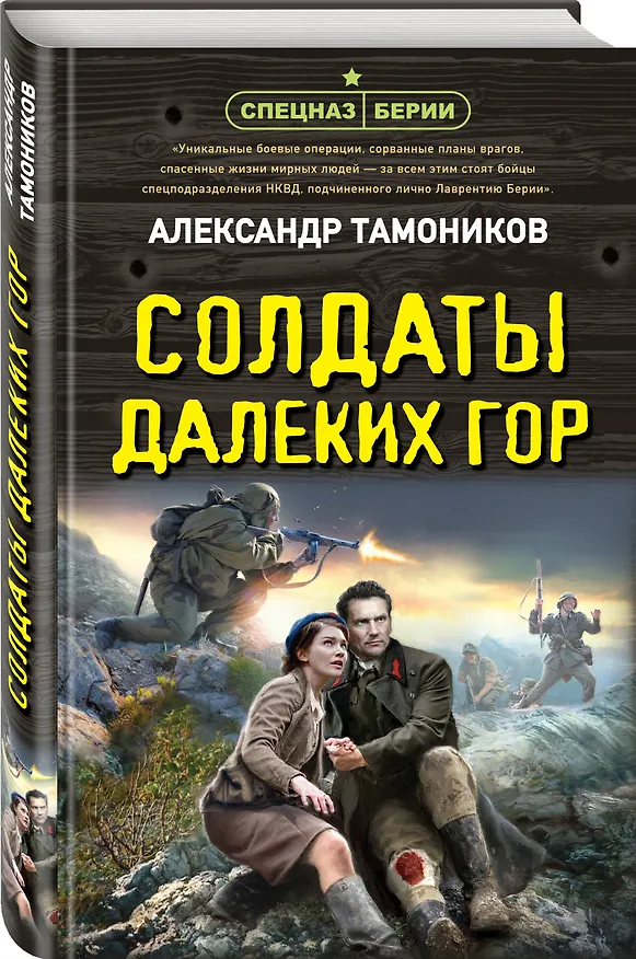 Книга Солдаты далеких гор (Александр Тамоников) — 4