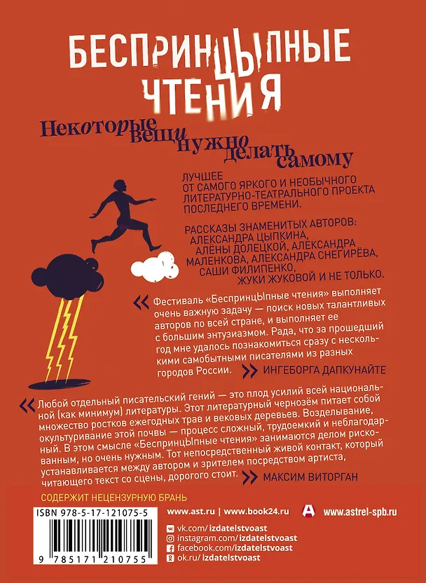 Книга БеспринцЫпные чтения. Некоторые вещи нужно делать самому (Александр Цыпкин) — 2