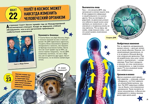 Книга Всё, что нужно знать о космосе и космических технологиях (Элис Харман) — 6