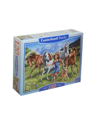 Пазлы 120 MIDI B-13029 На лугу (32х23см) (6+) (коробка) (Castorland) 2431367