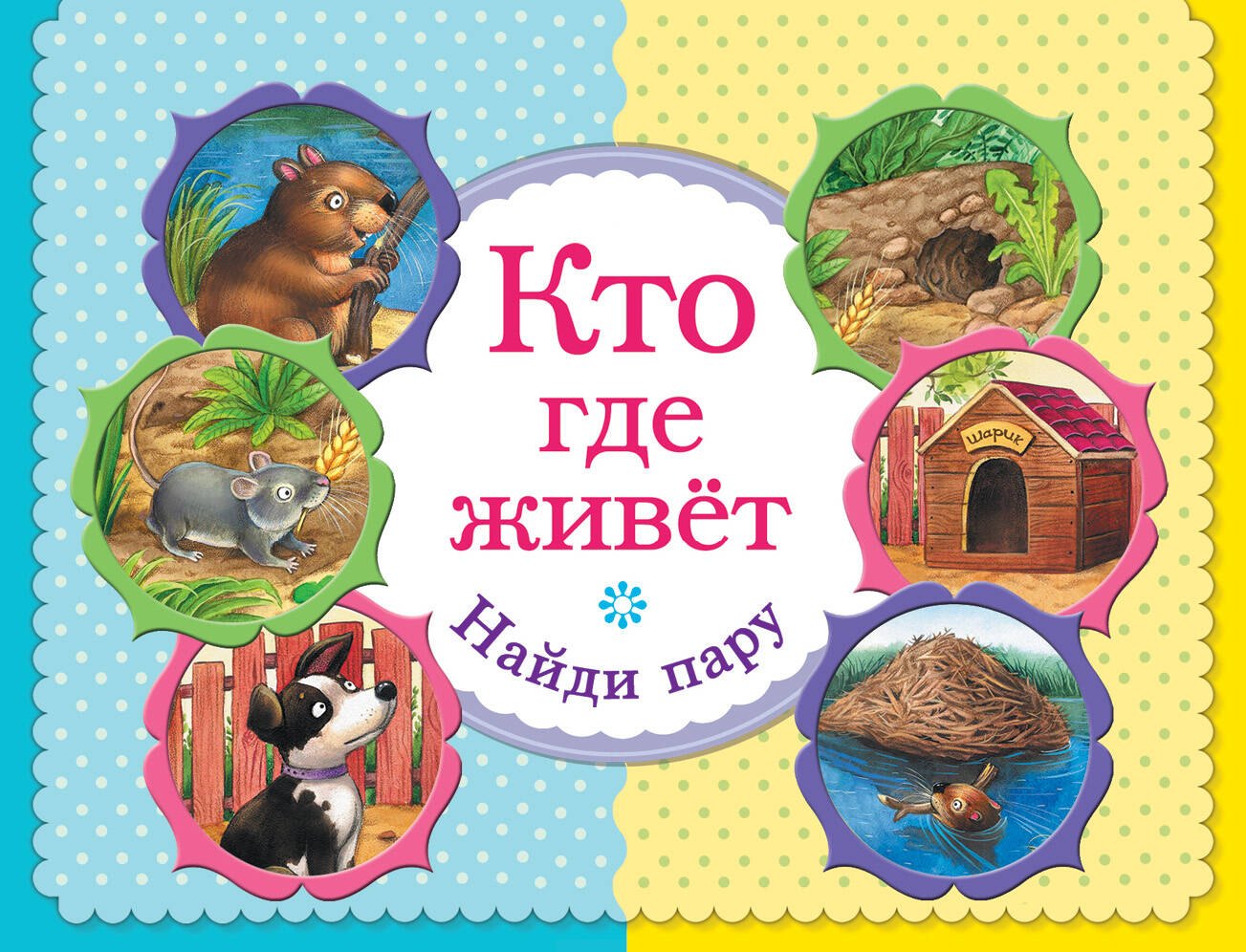 

Кто где живет. Найди пару