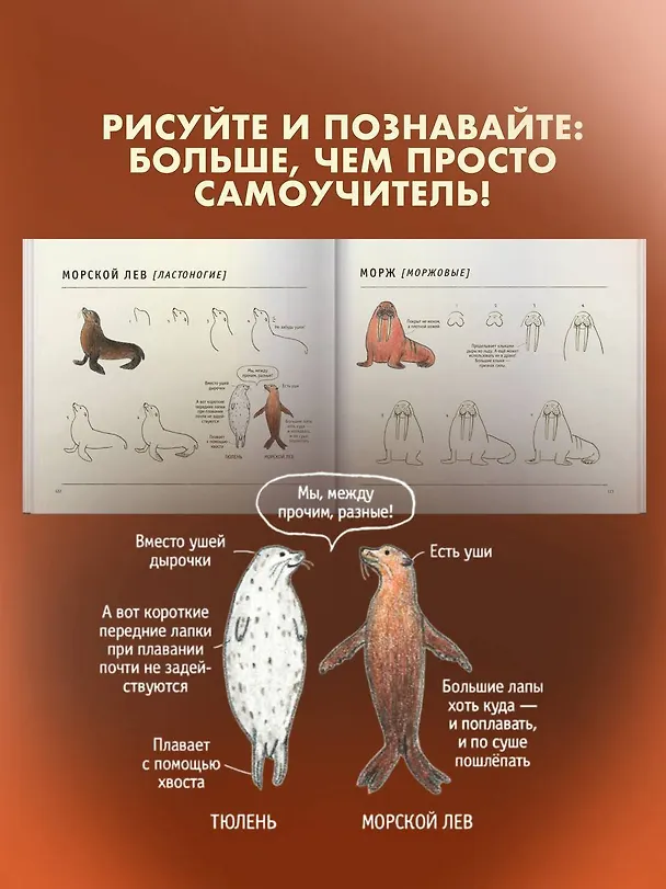 Книга Школа рисования для начинающих: милые животные (Аи Акикуса) — 10
