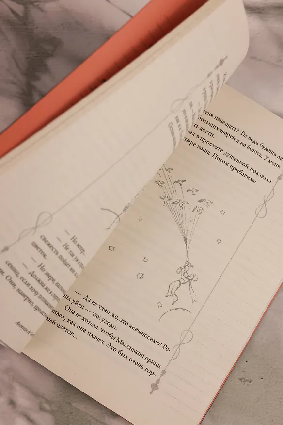 Книга Маленький принц (Антуан де Сент-Экзюпери) — 13